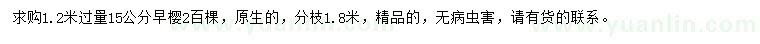 求购1.2米量15公分早樱