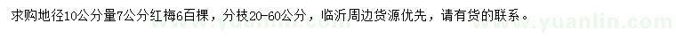 求购地径10公分量7公分红梅