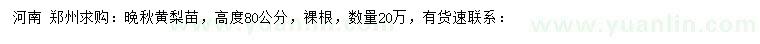 求购高80公分晚秋黄梨苗