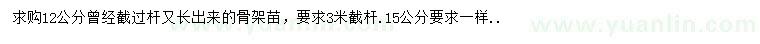 求购12、15公分栾树