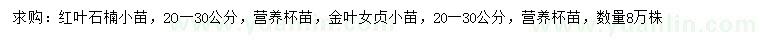 求购20-30公分红叶石楠小苗