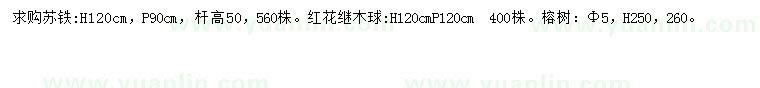 求购苏铁、红花继木球、榕树