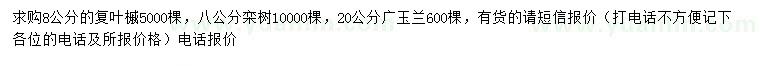 求购复叶槭、栾树、广玉兰