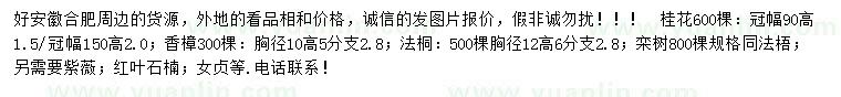 求购桂花、香樟、法桐等