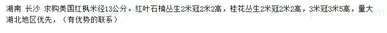 求购美国红枫、红叶石楠、桂花等