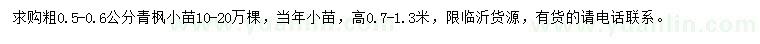 求购粗0.5-0.6公分青枫小苗