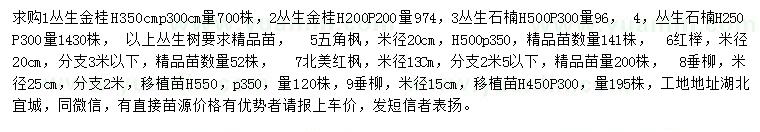 求购丛生金桂、丛生石楠、五角枫等