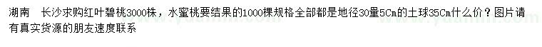 求购地径30量5公分红叶碧桃、水蜜桃