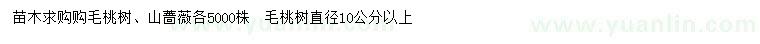 求购毛桃树、山蔷薇、毛桃树