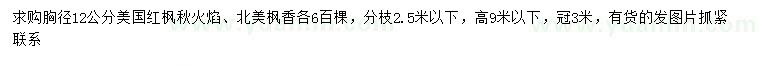 求购胸径12公分美国红枫、北美枫香