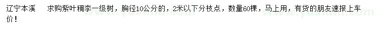 求购胸径10公分紫叶稠李