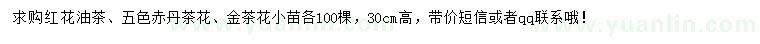 求购红花油茶、五色赤丹茶花、金茶花小苗
