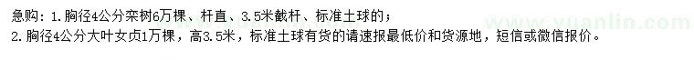 求购胸径4公分栾树、大叶女贞