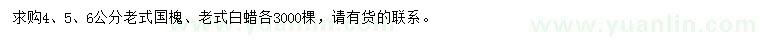 求购4、5、6公分老式国槐、老式白蜡