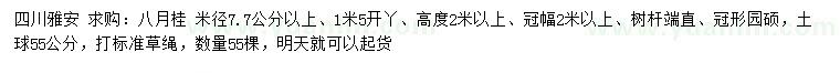 求购米径7.7公分以上八月桂 