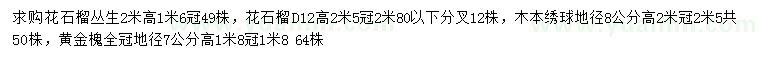 求购花石榴、木本绣球、黄金槐