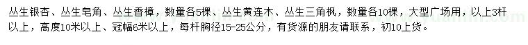 求购丛生银杏、丛生皂角、丛生香樟等