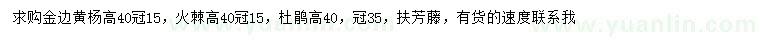 求购金边黄杨、火棘、杜鹃等