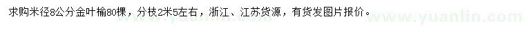 求购米径8公分金叶榆