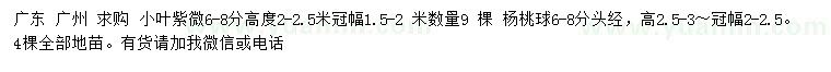 求购高6-8公分小叶紫微、杨桃球