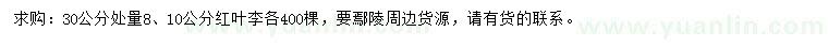 求购30公分处量8、10公分红叶李