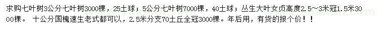 求购七叶树、丛生大叶女贞、国槐