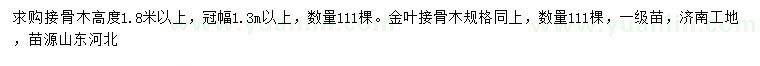 求购高度1.8米以上接骨木、金叶接骨木