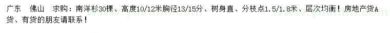 求购胸径13、15公分南洋杉