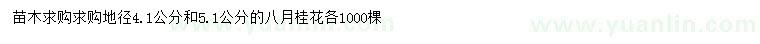 求购地径4.1、5.1公分八月桂花