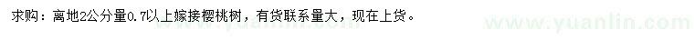 求购离地2公分量0.7以上嫁接樱桃树