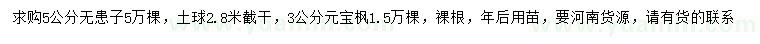 求购5公分无患子、3公分元宝枫