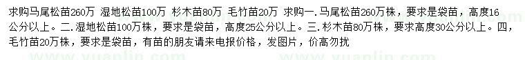 求购马尾松苗、湿地松苗、杉木苗等