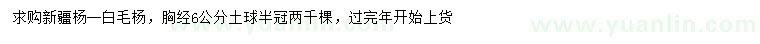 求购胸径6公分新疆杨、白毛杨