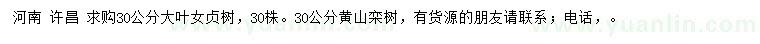 求购30公分大叶女贞树、黄山栾树