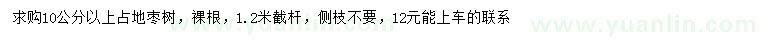 求购10公分以上占地枣树