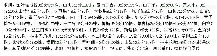 求购金叶榆、山桃、暴马丁香等