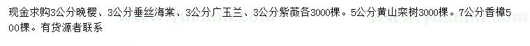 求购晚樱、垂丝海棠、广玉兰等