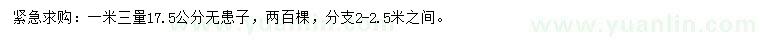 求购1.3米量17.5公分无患子