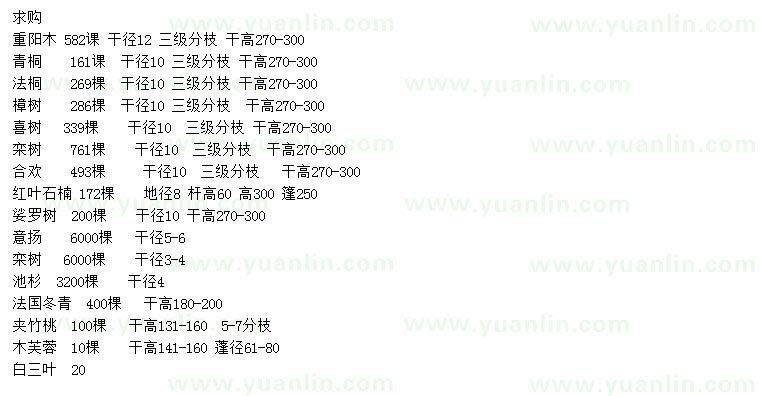 求购重阳木、青桐、法桐等