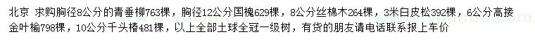 求购青垂柳、国槐、丝棉木等