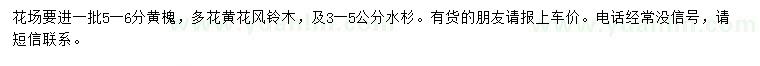 求购黄槐、多花黄花风铃、水杉