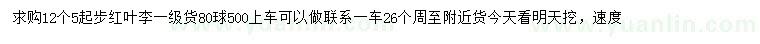 求购12.5公分起步红叶李