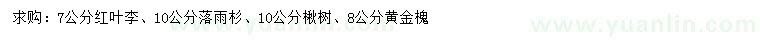 求购红叶李、落雨杉、楸树等