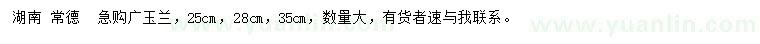 求购25、28、35公分广玉兰