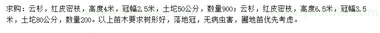 求购高4、6.5米云杉