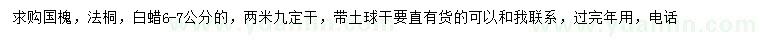 求购国槐、法桐、白蜡