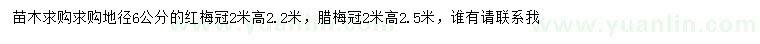 求购地径6公分红梅、冠幅2米腊梅