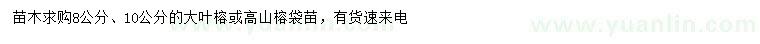 求购8、10公分大叶榕或高山榕