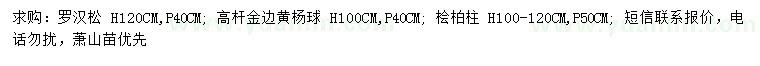 求购罗汉松、高杆金边黄杨球、桧柏柱