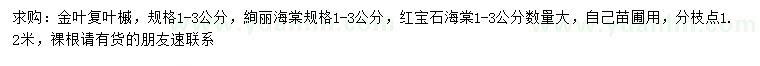 求购1-3公分金叶复叶槭、红宝石海棠